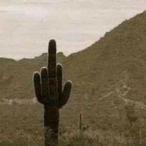 Meet your Posher, Bonita